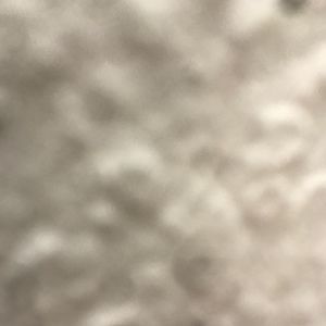 Meet your Posher, Damiyon